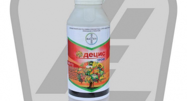 Návod k použití a složení decisu, dávkování insekticidu a analogů