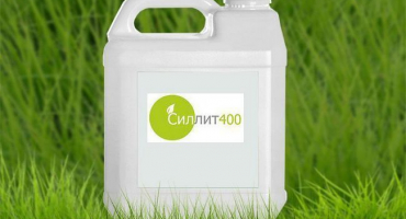 Návod k použití a složení fungicidu sillite, dávkování ks a analogů