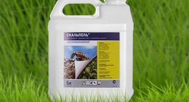 Návod k použití a složení skalpelového fungicidu, dávkování a analogy