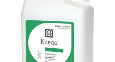 Návod k použití a složení creed fungicidu, dávkování pesticidů