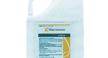 Návod k použití a složení fungicidu magnello, dávkování a analogy