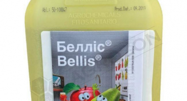 Návod k použití a složení fungicidu bellis, dávkování a analogy