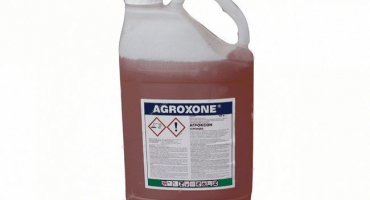 Návod k použití a složení herbicidu agroxon, dávkování a analogy