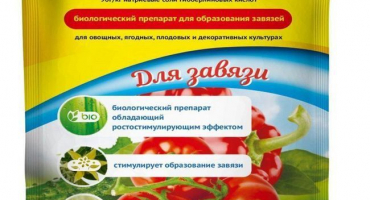 Návod k použití a složení gibbersibu, míry spotřeby a analogy