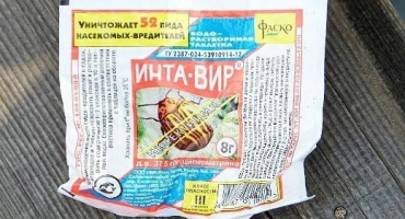 Návod k použití a složení inta-vira, dávkování a analogy léku