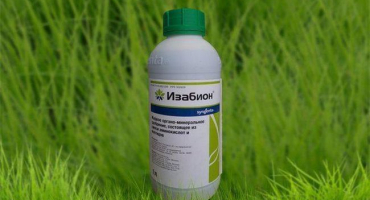 Návod k použití a složení isabionu, dávkování hnojiva a analogy