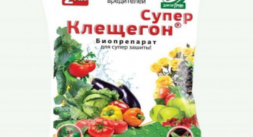 Návod k použití a složení klíštěte, spotřeba a analogy