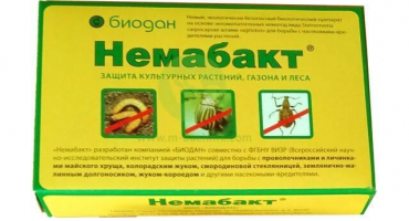 Návod k použití a složení nemabaktu, míry spotřeby a analogy