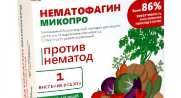 Návod k použití a složení nematofágu, míra spotřeby léků