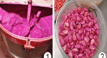 Návod k použití a složení ošetřujícího a fungicidního pokladu, dávkování