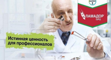 Návod k použití a složení lamadora, dávkování a analogy