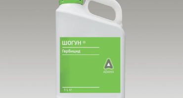 Návod k použití a složení šógunu, dávkování herbicidu a analogy