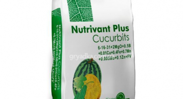 Návod k použití a složení živného hnojiva, dávkování a analogy