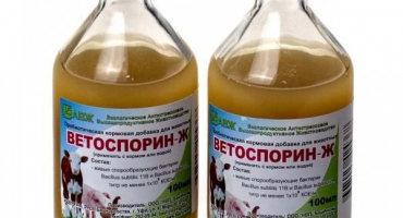 Návod k použití a složení vetosporinu g, dávkování a analogy