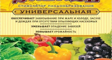 Návod k použití a složení vaječníku, dávkování léku a analogy