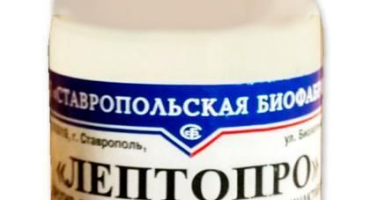 Návod k použití a vlastnosti vakcíny proti bovinní leptospiróze, dávkování