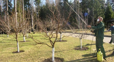 Pokyny pro použití insegaru a složení insekticidu, dávkování a analogy