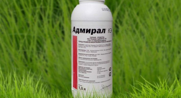 Návod k použití admirála insekticidu a dávkování léku