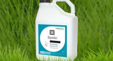 Pokyny pro použití insekticidní přestávky a složení léčiva, dávkování