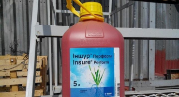 Návod k použití insura provést a složení obvazového prostředku, dávkování