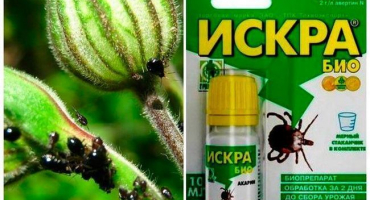 Návod na použití bio jiskry a dávkování léku proti škůdcům