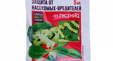 Návod na použití jiskry m, složení a dávkování léku proti škůdcům