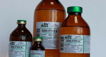 Návod k použití ivermeku pro selata a jiná zvířata, analogy