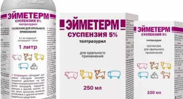 Pokyny pro použití eimeterm pro králíky, míry spotřeby a analogy