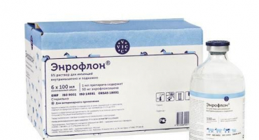 Pokyny pro použití enroflonu pro kuřata, kontraindikace a analogy