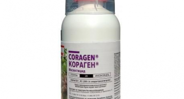 Pokyny pro použití koragenu, dávkování insekticidu a analogů