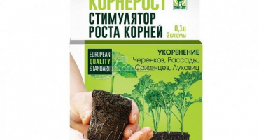 Návod na použití kornerosty a dávkování stimulátoru růstu kořenů