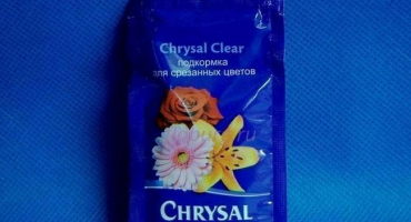 Návod na použití krizal a dávkování zálivky na řezané květiny