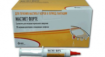 Návod k použití mastiet forte pro kozy, indikace a analogy