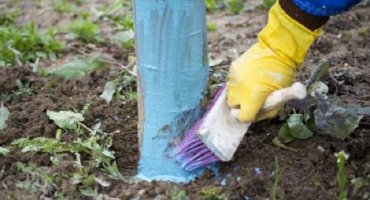 Návod na použití síranu měďnatého v zahradnictví a jak jej ředit