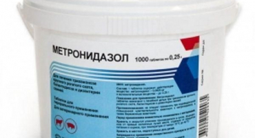 Návod k použití metronidazolu pro holuby a dávkování s vodou