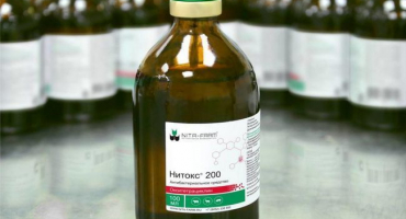 Návod k použití nitoxu 200 pro skot, dávkování a kontraindikace
