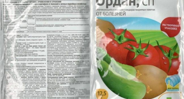 Návod na použití ordanu a složení fungicidu, jak chovat a analogy