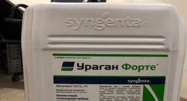 Návod k použití proti plevelům herbicid hurikán, složení a rychlost spotřeby