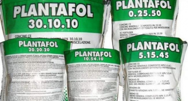 Návod k použití plantafolu a složení hnojiva, míry spotřeby