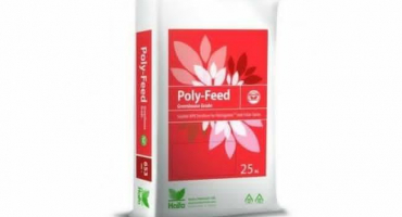 Návod k použití polyfidu, dávkování hnojiva a analogy