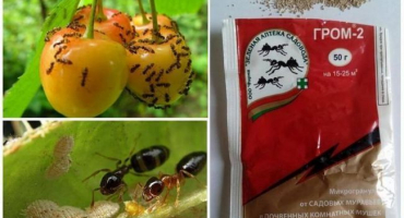 Návod k použití přípravku proti pakomárům hromu-2 a rychlosti spotřeby