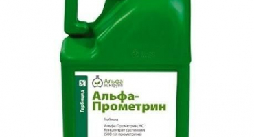 Návod k použití prometrinu, dávkování herbicidu a analogy