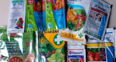 Návod k použití, poměry a podmínky zpracování hroznů fungicidem rychle