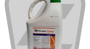 Pokyny pro použití raglonu a složení vysoušedla, dávkování a analogy