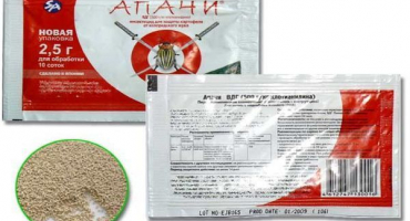 Návod na použití léku apache pro mandelinky bramborové, jak chovat