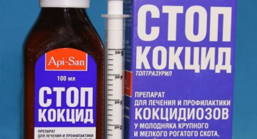 Návod k použití kokcidových nohou k léčbě králíků, dávkování