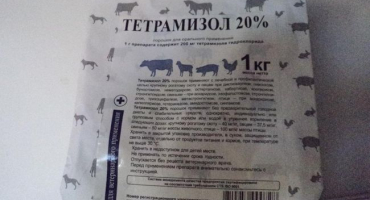 Návod k použití tetramisolu 10 pro prasata, kontraindikace a analogy