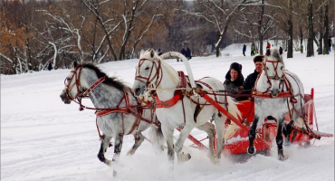 Pokyny pro koňský postroj