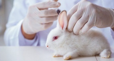 Návod na použití ditrimu pro králíky