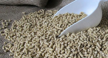 Z čeho se vyrábí krmné směsi pro selata a prasata, druhy a nejlepší výrobci